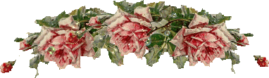 pinkroses